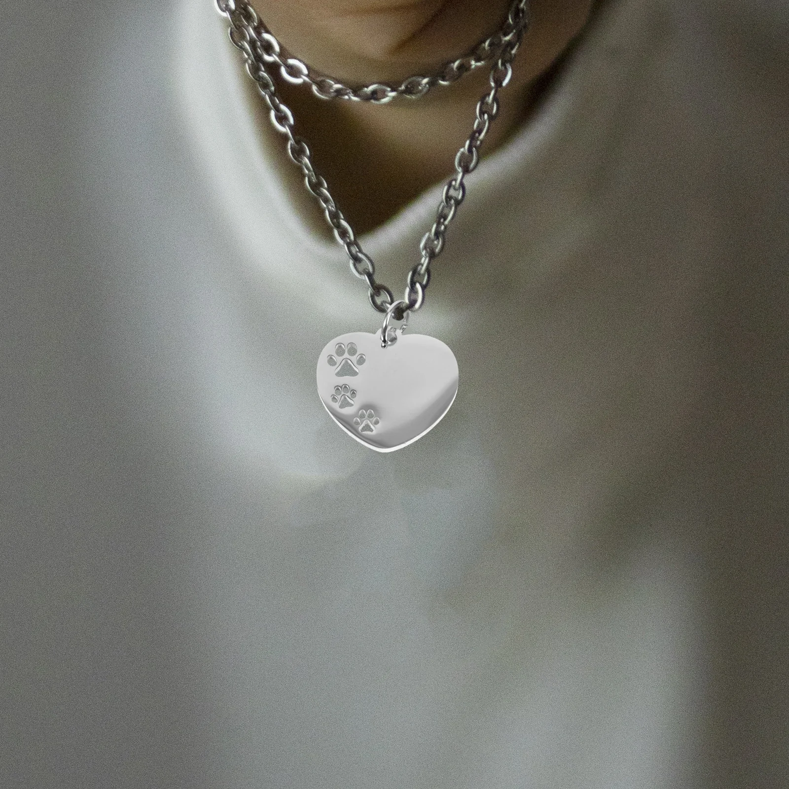 10pcs Stainless Steel Dog Tags Durable Rust Resistant Engraved Pet Name Tag Id Tag For Dogs Lightweight Heart Shape Hollow Paw
10pcs Stainless Steel Dog Tags Durable Rust Resistant Engraved Pet Name Tag Id Tag For Dogs Lightweight Heart Shape Hollow Paw