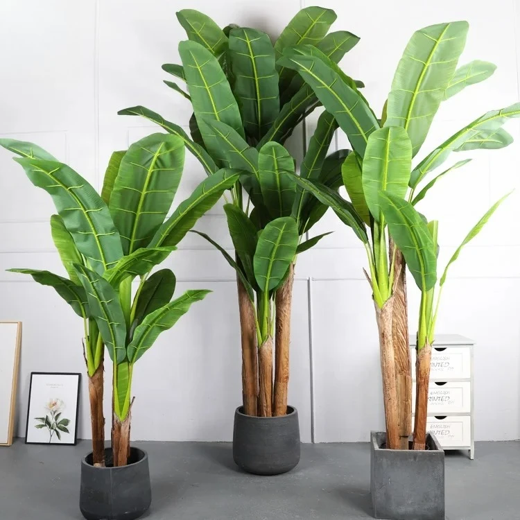 Banana Leaf Artificial Bonsai Tree For Sale Banana Plant Tree For Indoor Decoration Bonsai Tree
Banana Leaf Artificial Bonsai Tree For Sale Banana Plant Tree For Indoor Decoration Bonsai Tree