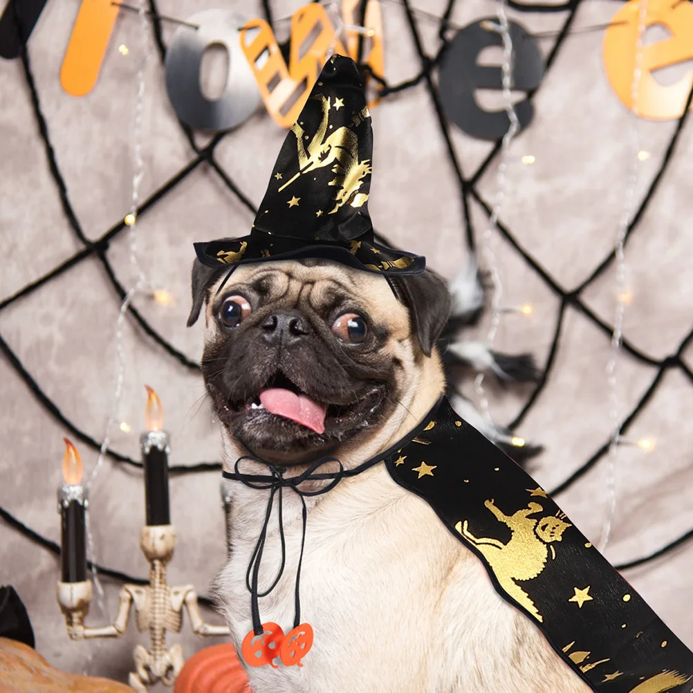 1 set 1 Set Cloak Hat Costume For Dog Cat Halloween Party Festival Wearable Lightweight Comfortable High-Quality 
1 set 1 Set Cloak Hat Costume For Dog Cat Halloween Party Festival Wearable Lightweight Comfortable High-Quality