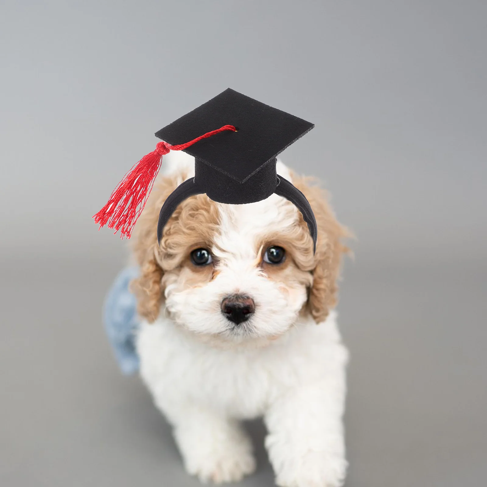 Pet Doctor Hat Graduation Costume Soft Material Elastic Headb Dog Cat Accessories Felt Academic Style Pet Supplies
Pet Doctor Hat Graduation Costume Soft Material Elastic Headb Dog Cat Accessories Felt Academic Style Pet Supplies
