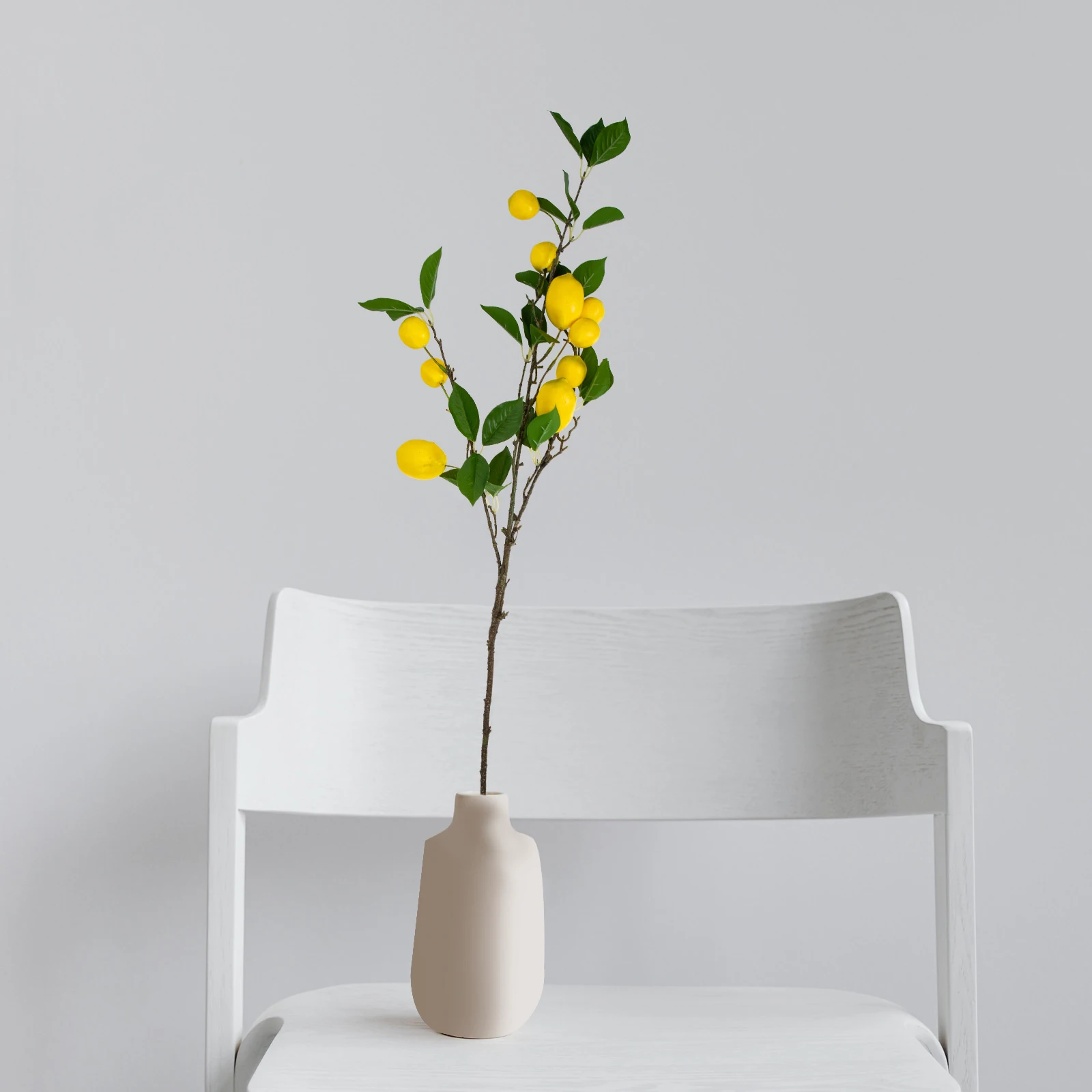 2Pcs Simulation Lemon Branch Artificial Vine Reusable Vase Filling Ornament Living Room Wedding Office Decoration
2Pcs Simulation Lemon Branch Artificial Vine Reusable Vase Filling Ornament Living Room Wedding Office Decoration