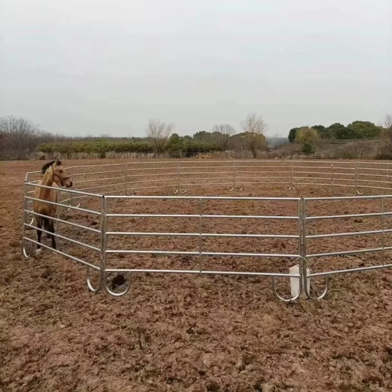 Customized 16-20m Diameter Horse Round Yard 6rail Cattle Panel 1.8*2.1m Stockyard
Customized 16-20m Diameter Horse Round Yard 6rail Cattle Panel 1.8*2.1m Stockyard