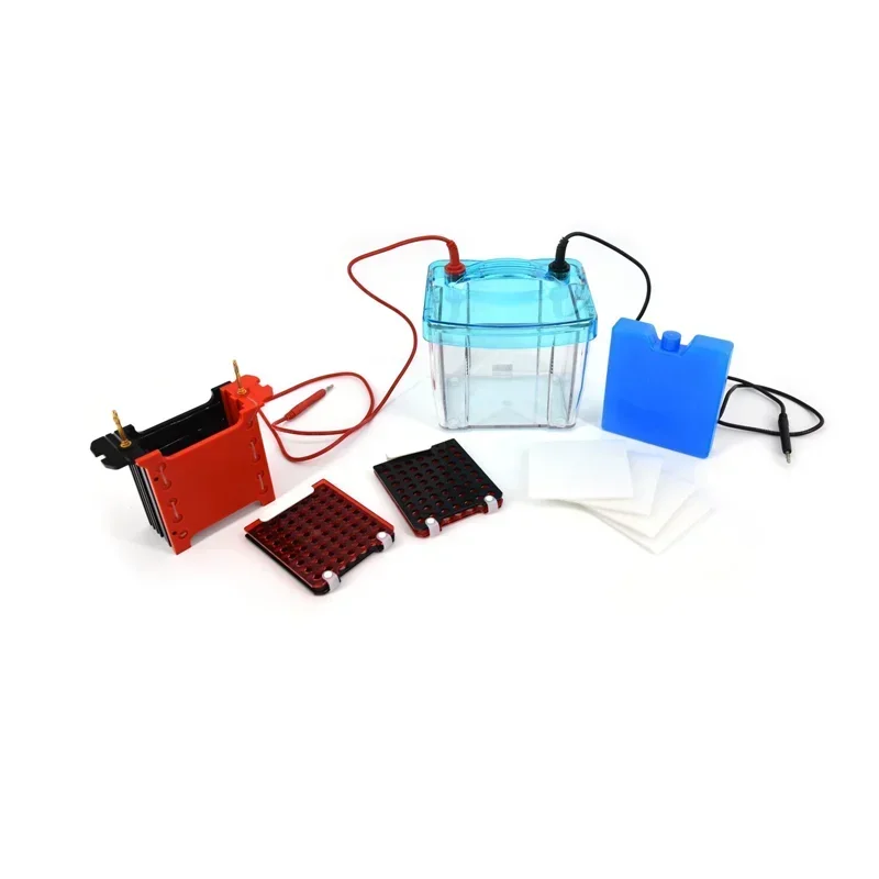 Transfer Electrophoresis Machine Is Suitable for Transferring Gel Protein Molecules To NC Membrane In WesternBlot Experiments 
Transfer Electrophoresis Machine Is Suitable for Transferring Gel Protein Molecules To NC Membrane In WesternBlot Experiments