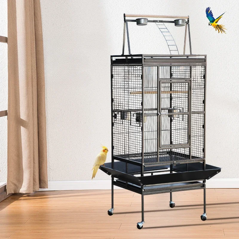 Large Parrot Birdcage Accessories Palomas Passaros Bird House Periquitos Gaiola Para Passaros Casinha De Passarinho Pet Supplies
Large Parrot Birdcage Accessories Palomas Passaros Bird House Periquitos Gaiola Para Passaros Casinha De Passarinho Pet Supplies