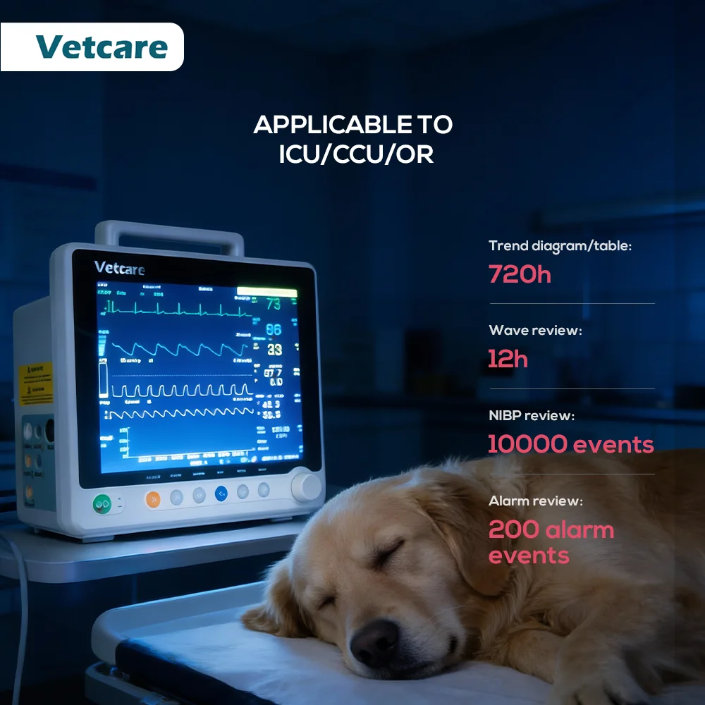 Not Afraid of Power Outages Multi-Parameter Animal Ecg Monitoring Devices Mobile Veterinary Monitor
Not Afraid of Power Outages Multi-Parameter Animal Ecg Monitoring Devices Mobile Veterinary Monitor