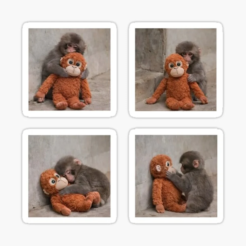 Punch Monkey and his toy friend Sticker for Laptop Decor Bedroom Car Cute Cartoon Art Fashionable Public Suitcase
Punch Monkey and his toy friend Sticker for Laptop Decor Bedroom Car Cute Cartoon Art Fashionable Public Suitcase
