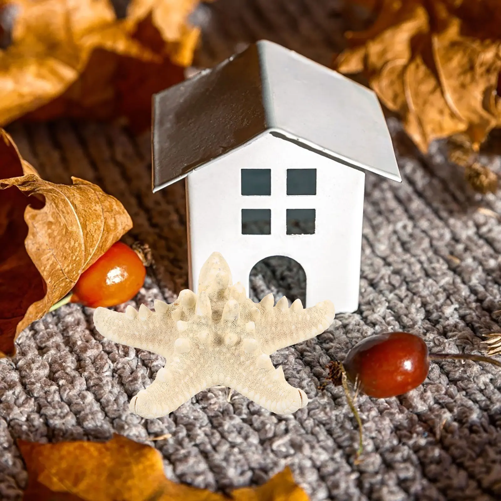 8Pcs Sea Star Decoration Artificial Shell Material Realistic Ocean Animal Figurines for Home Wedding Craft Display
8Pcs Sea Star Decoration Artificial Shell Material Realistic Ocean Animal Figurines for Home Wedding Craft Display