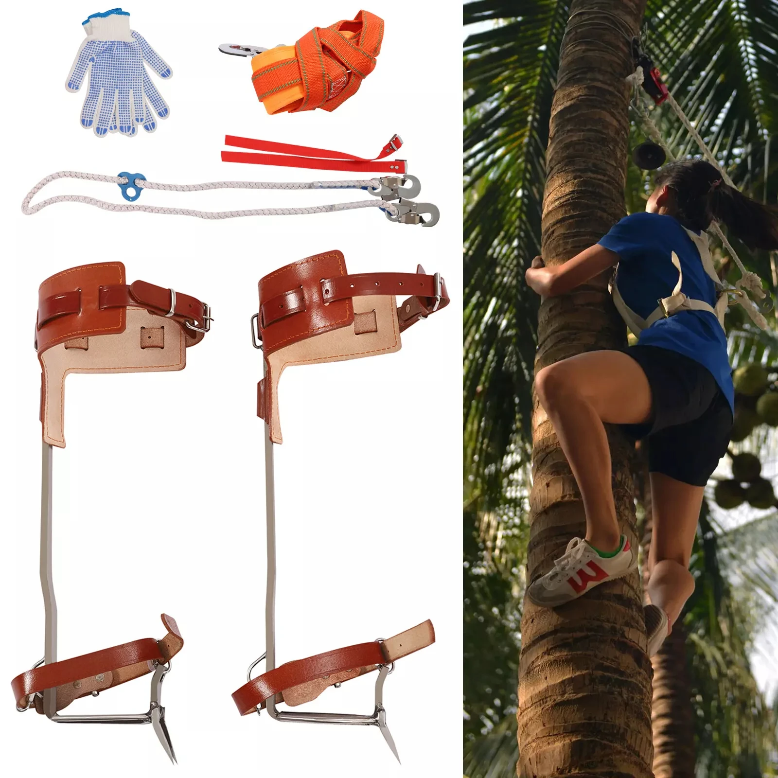 Tree Climbing Spike Set - Adjustable Pole Climbing Spurs with Gaffs & Climber Straps
Tree Climbing Spike Set - Adjustable Pole Climbing Spurs with Gaffs & Climber Straps