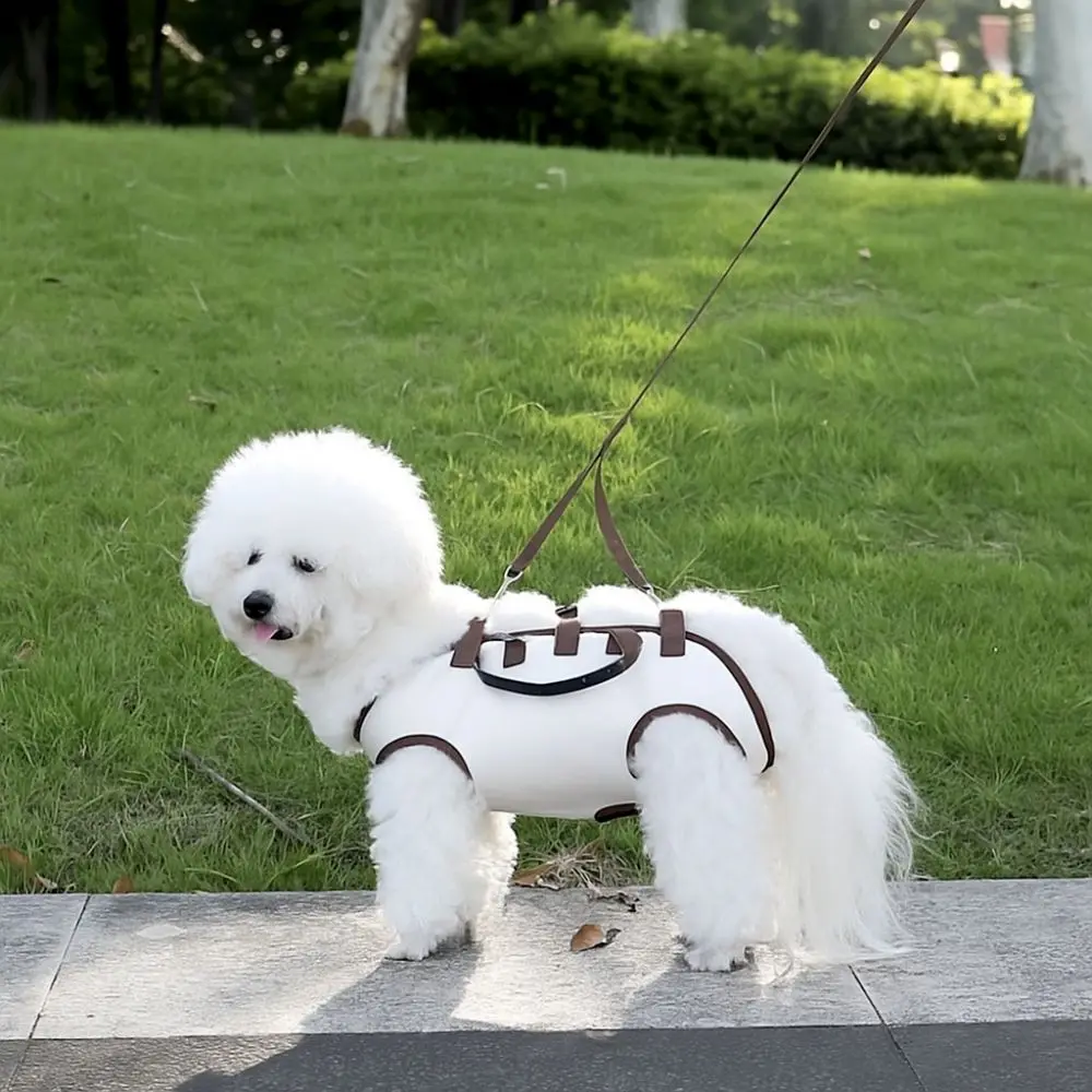 Portable Adjustable Dog Carrier Backpack Soft Breathable Pet Travel Backpack with Leash Labor Saving Pet Strap Artifact Outdoor
Portable Adjustable Dog Carrier Backpack Soft Breathable Pet Travel Backpack with Leash Labor Saving Pet Strap Artifact Outdoor