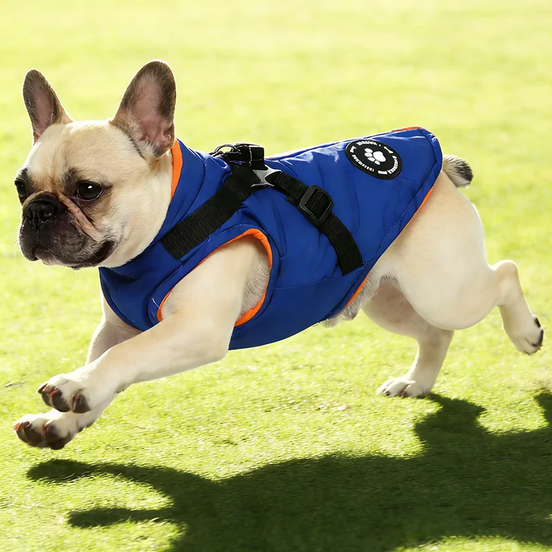 Dog Autumn Winter Thickened Clothes Windproof Waterproof Puppy Jacket D-Ring for Leash Pet Coat for Small Medium Dogs
Dog Autumn Winter Thickened Clothes Windproof Waterproof Puppy Jacket D-Ring for Leash Pet Coat for Small Medium Dogs