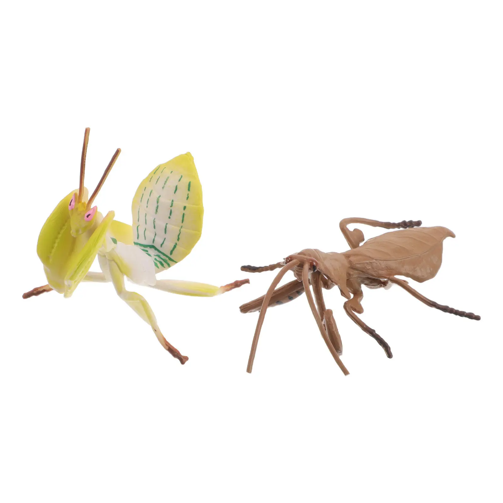 2Pcs Simulation Mantis Statue Lifelike Design Portable Insect Observation Specimen for Family Science Activities Garden Ornament
2Pcs Simulation Mantis Statue Lifelike Design Portable Insect Observation Specimen for Family Science Activities Garden Ornament