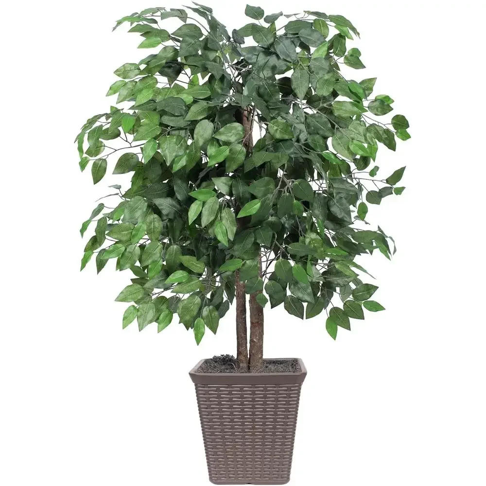 Daily 4' Artificial Bush in Brown Square Pot - Elegant Home or Office Decor - Low Maintenance Ivy Plant
Daily 4' Artificial Bush in Brown Square Pot - Elegant Home or Office Decor - Low Maintenance Ivy Plant