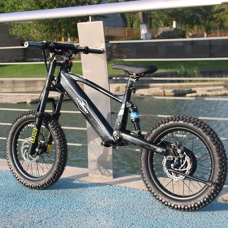 Aluminum Frame Kids Electric Bike 750W With LED Display And Full Throttle Children's Electric Bicycle
Aluminum Frame Kids Electric Bike 750W With LED Display And Full Throttle Children's Electric Bicycle