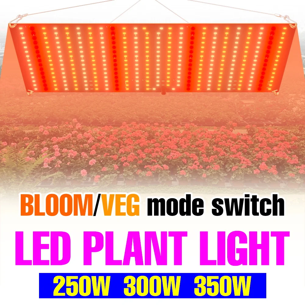 350W LED Grow Light Full Spectrum Indoor Quantum Board Plant Cultivation Lamp UV/IR Greenhouse Fruit Vegs Growth Box US/EU Plug
350W LED Grow Light Full Spectrum Indoor Quantum Board Plant Cultivation Lamp UV/IR Greenhouse Fruit Vegs Growth Box US/EU Plug