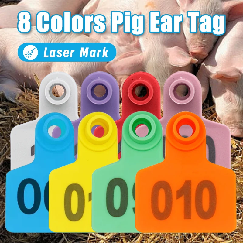 8-цветная пластиковая бирка для ушей свиньи со словами, лазерная метка для ушей свиньи, овцы, козла, идентификационная карта сельскохозяйственных животных, 100 шт., 001-200 
8-цветная пластиковая бирка для ушей свиньи со словами, лазерная метка для ушей свиньи, овцы, козла, идентификационная карта сельскохозяйственных животных, 100 шт., 001-200