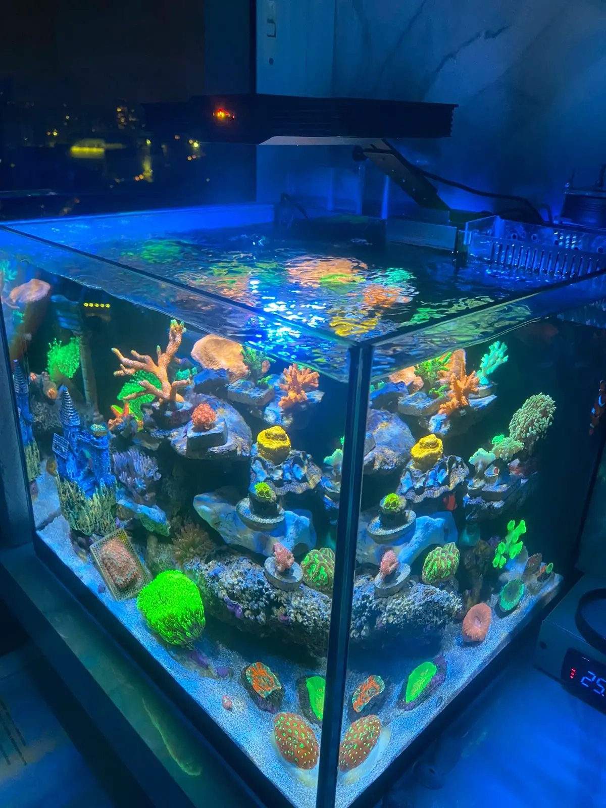 Spectra Aqua Knight V3 Full Spectrum Programmable Sunrise Sunset 75W Saltwater Fish Tank LED Coral Reef Aquarium Light
Spectra Aqua Knight V3 Full Spectrum Programmable Sunrise Sunset 75W Saltwater Fish Tank LED Coral Reef Aquarium Light
