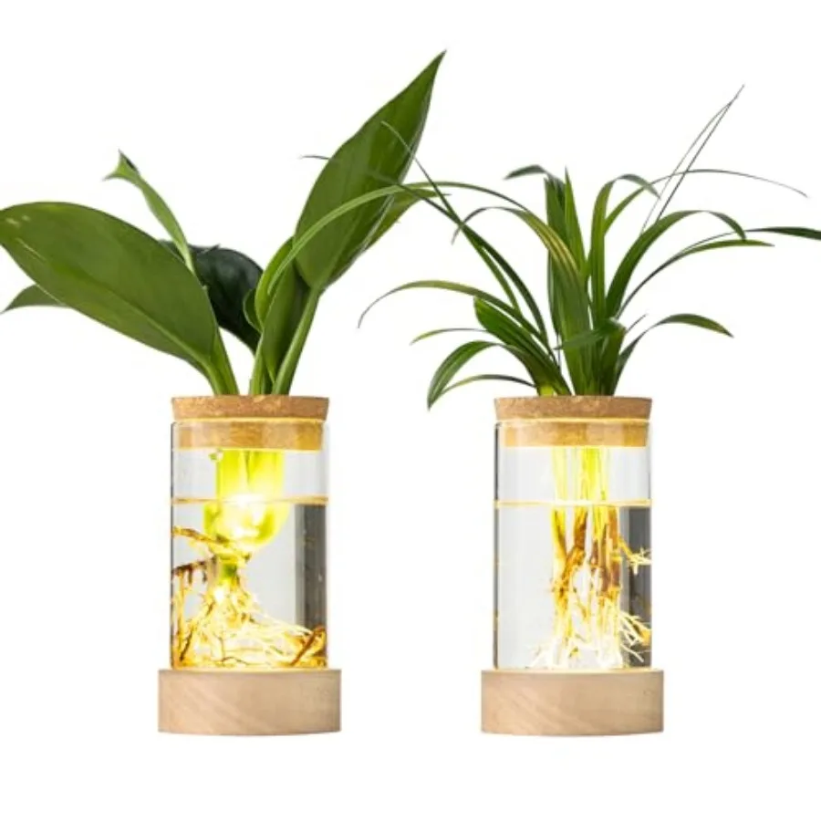 Glass Plant Propagation Stations, Propagation Vases for Plants with Ambient Light Base, Hydroponic Vase for Home and Office Win
Glass Plant Propagation Stations, Propagation Vases for Plants with Ambient Light Base, Hydroponic Vase for Home and Office Win