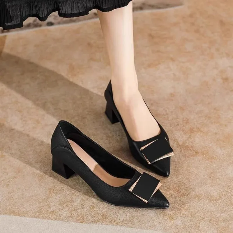2026 New French Style Chunky Heel Pumps, Women's Pointed Toe Metal Buckle Flats, Soft Leather Work Slip-On Shoes for Office
2026 New French Style Chunky Heel Pumps, Women's Pointed Toe Metal Buckle Flats, Soft Leather Work Slip-On Shoes for Office