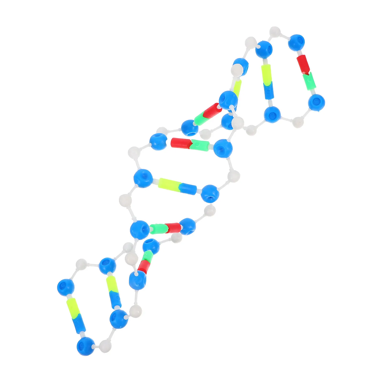 Модель структуры двойной спирали ДНК для уроков биологии, генетики, биохимии, проектов на научных выставках, образовательных целей, изучения молекулярной структуры ДНК
Модель структуры двойной спирали ДНК для уроков биологии, генетики, биохимии, проектов на научных выставках, образовательных целей, изучения молекулярной структуры ДНК