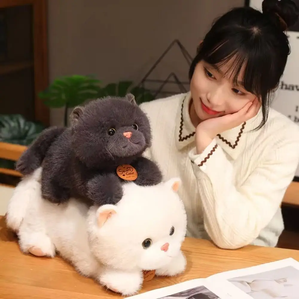 Cute Stuffed Simulation Cat Fluffy Soft Cartoon Animal Comfort Cute Animal Cartoon Kitty Children Gift
Cute Stuffed Simulation Cat Fluffy Soft Cartoon Animal Comfort Cute Animal Cartoon Kitty Children Gift