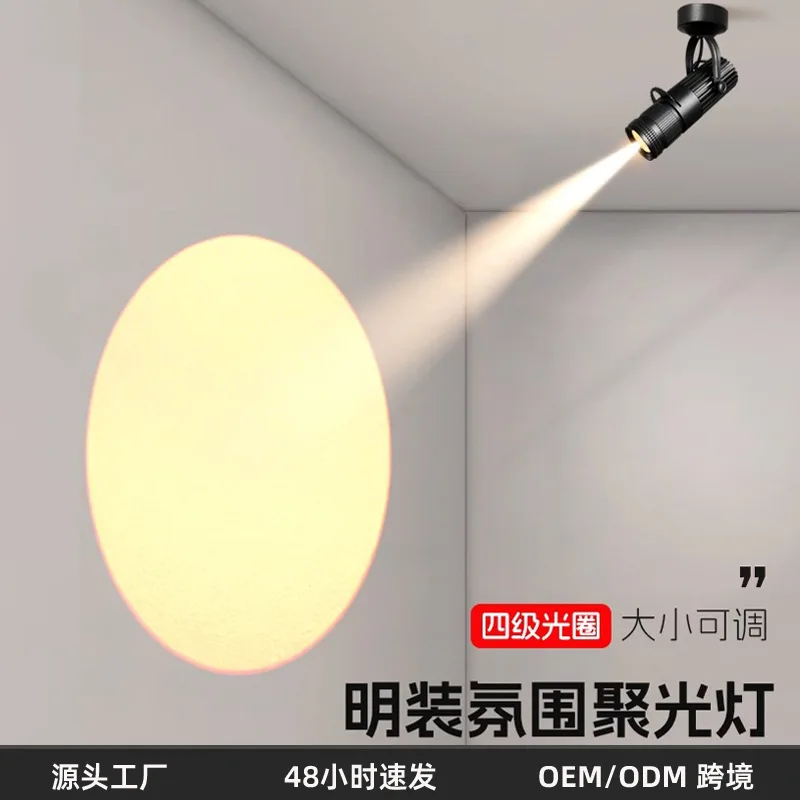 3000/6000K 3W-20W LED Ceiling Light Spotlight Cut Lamps Stage Restaurant Bar Gallery Focus Lamp Atmosphere Track Light HOT
3000/6000K 3W-20W LED Ceiling Light Spotlight Cut Lamps Stage Restaurant Bar Gallery Focus Lamp Atmosphere Track Light HOT