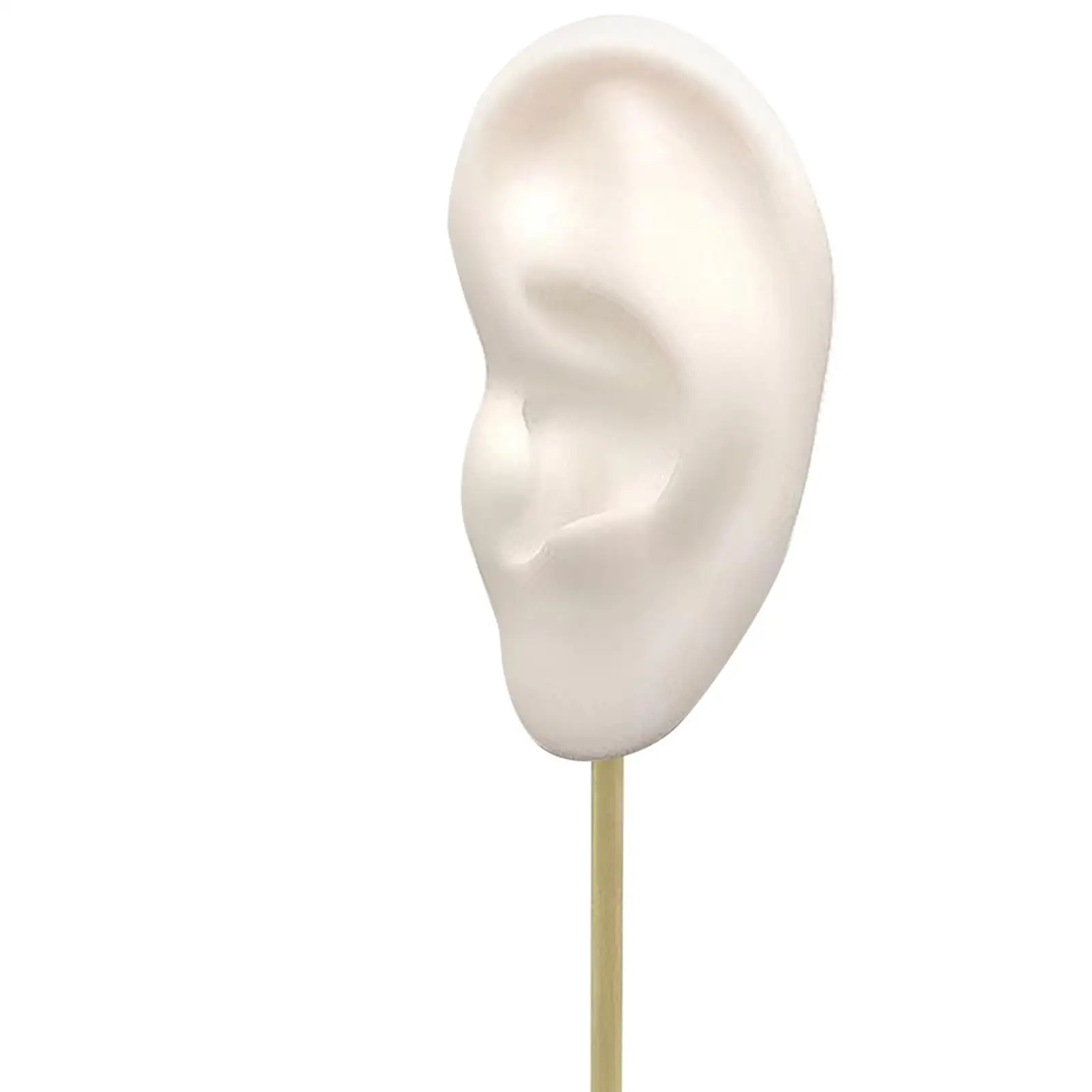 Durable Earring Display Rack Human Ear Model Stud Holder Showcase Earrings Stand for Girls Women Soft Silicone Mannequin Stand
Durable Earring Display Rack Human Ear Model Stud Holder Showcase Earrings Stand for Girls Women Soft Silicone Mannequin Stand