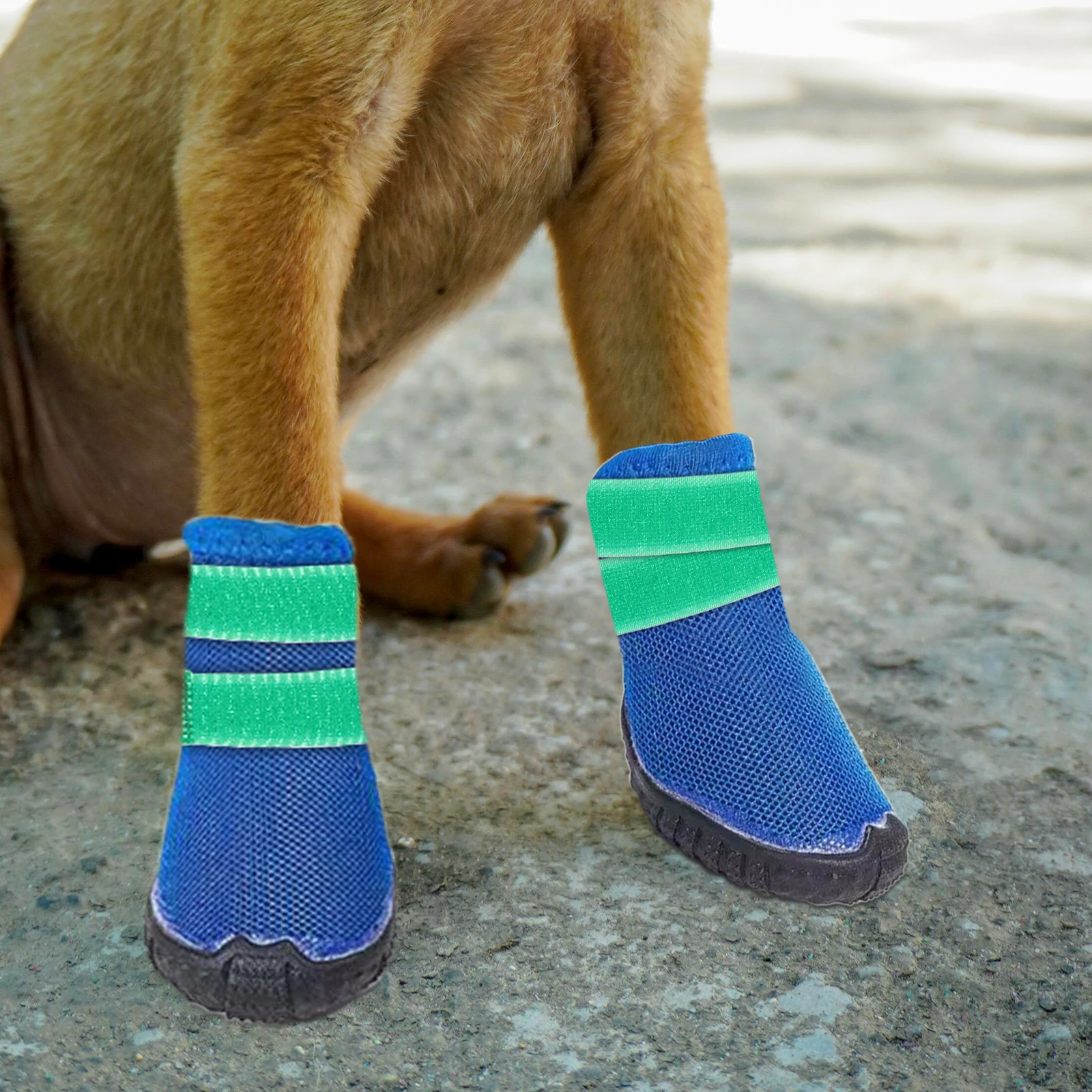 20pcs Rain Boots Straps Non Slip Dog Shoe Accessories Adjustable Pet Boot Holders Sock Bands Mud Resistant Reusable
20pcs Rain Boots Straps Non Slip Dog Shoe Accessories Adjustable Pet Boot Holders Sock Bands Mud Resistant Reusable