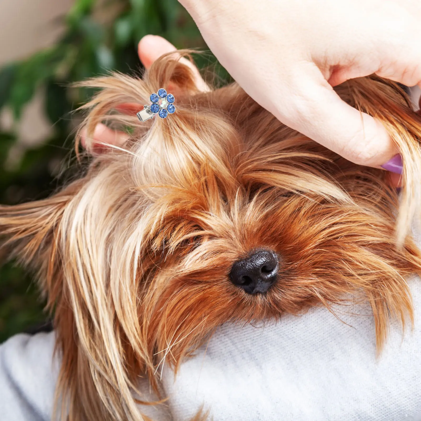 2Pcs Decorative Pet Hairpins Premium Safe Material Fine Craftsmanship Long Serving Time Different Colors Occasions
2Pcs Decorative Pet Hairpins Premium Safe Material Fine Craftsmanship Long Serving Time Different Colors Occasions