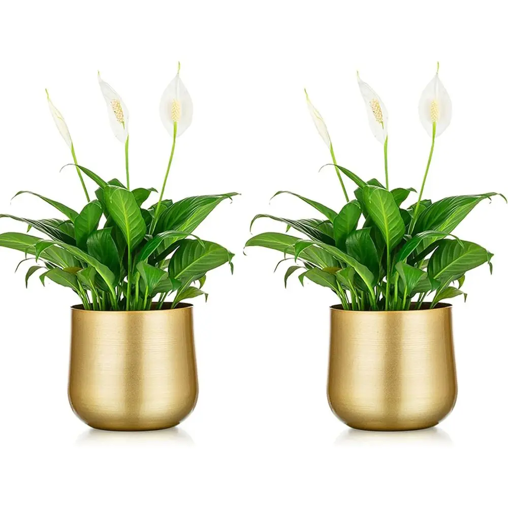 Gold Metal Plant Pots with Drainage Holes, Decorative Storage Organizers for Indoor or Outdoor Use, Ideal for Living Rooms, Balc
Gold Metal Plant Pots with Drainage Holes, Decorative Storage Organizers for Indoor or Outdoor Use, Ideal for Living Rooms, Balc