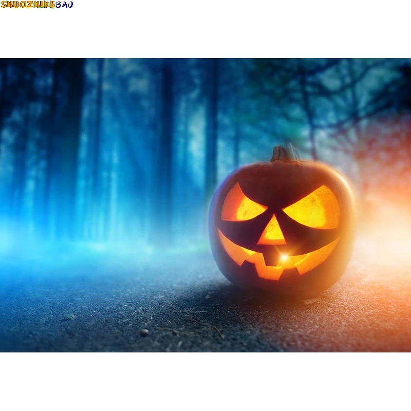 Halloween Backdrop Pumpkin Lantern Castle Forest Moon Tombstone Baby Photography Background For Photo Studio Props 21819 NG-10
Halloween Backdrop Pumpkin Lantern Castle Forest Moon Tombstone Baby Photography Background For Photo Studio Props 21819 NG-10