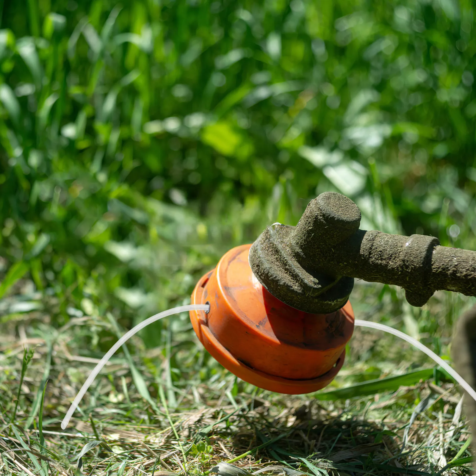Professional Mower Line Durable Reliable Not Easy to Break Multi Occasion Use for Lawn Mowers Accessories String Trimmer Line
Professional Mower Line Durable Reliable Not Easy to Break Multi Occasion Use for Lawn Mowers Accessories String Trimmer Line