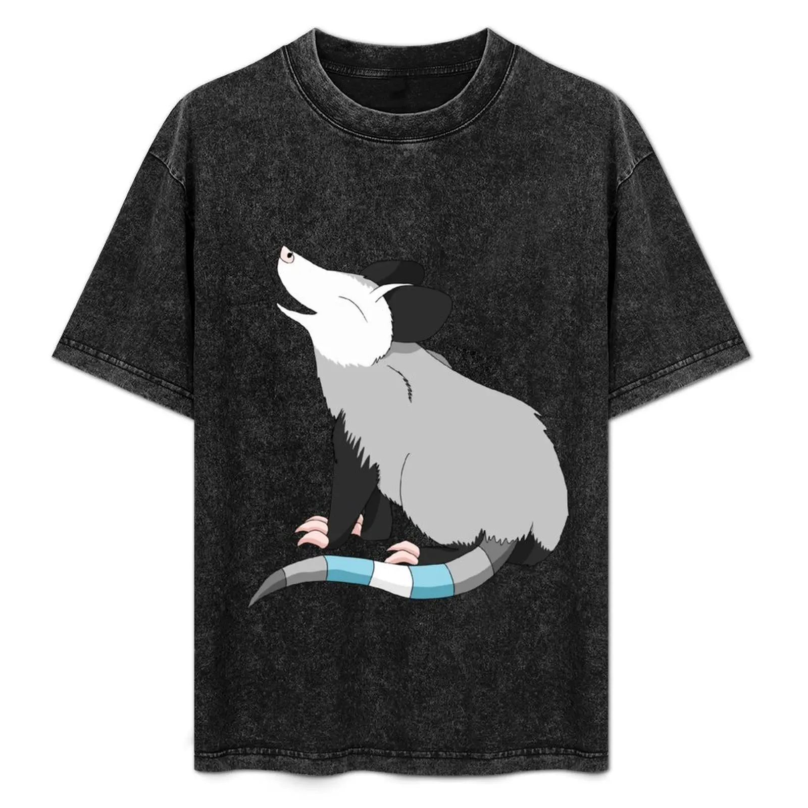 Pride Possum- Demiboy T-Shirt Work Wear Lightweight Tee
Pride Possum- Demiboy T-Shirt Work Wear Lightweight Tee