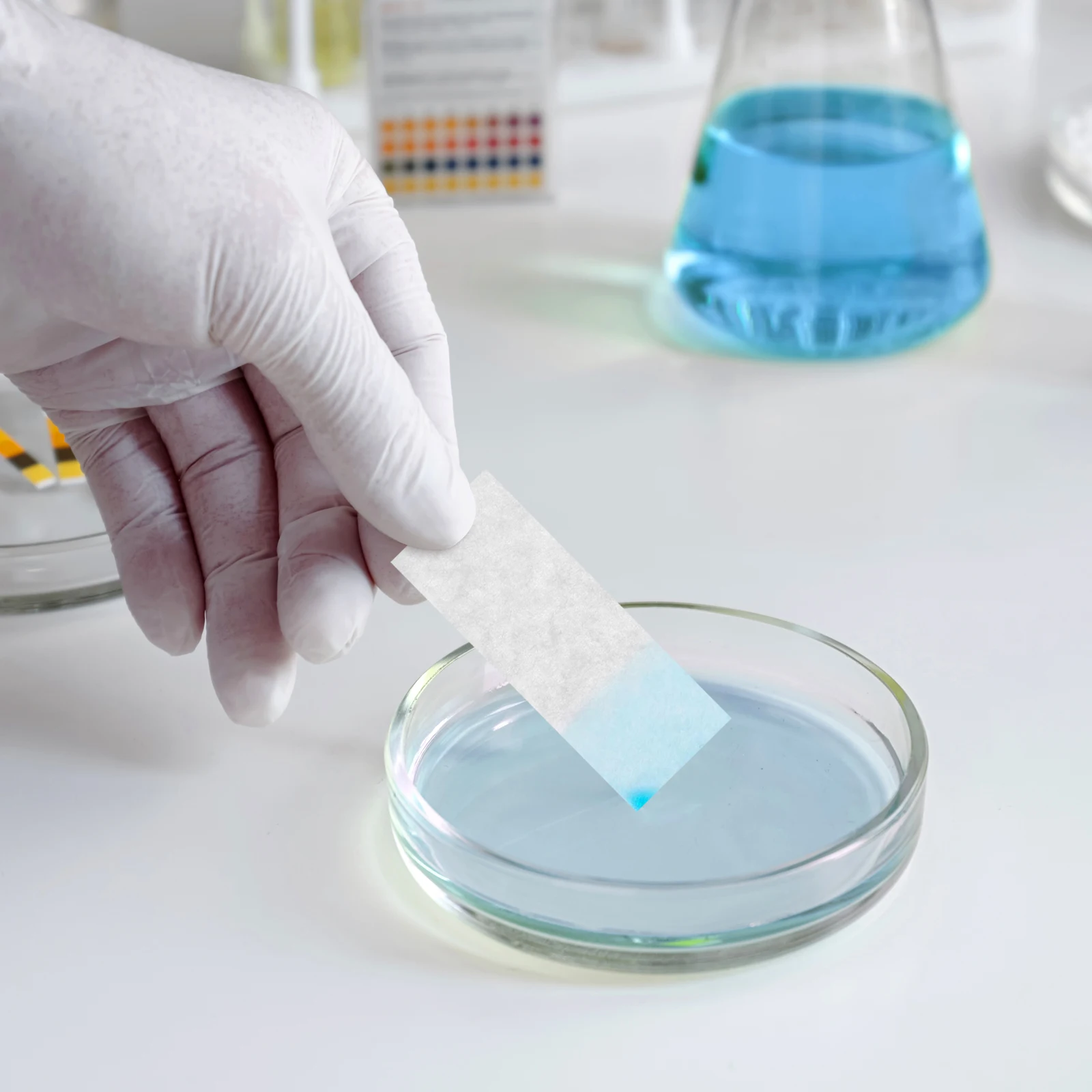 500pcs Absorbent Blotting For Laboratory Dust Removal Cleaning Supplies High Absorbing Tissues Lab Paper Strips Chemistry
500pcs Absorbent Blotting For Laboratory Dust Removal Cleaning Supplies High Absorbing Tissues Lab Paper Strips Chemistry