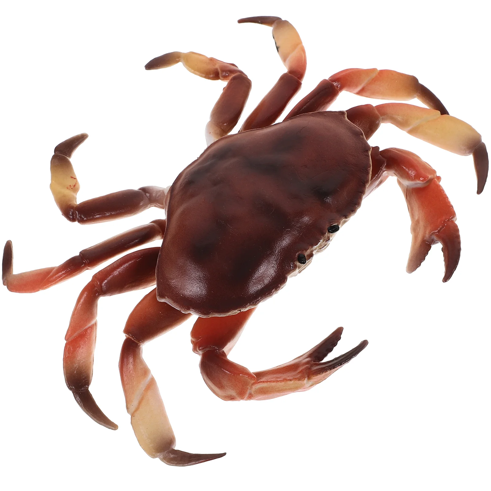 Realistic Sea Creature Model Kids Toys Desktop Crab Decoration Simulation Figurine Child The Animal
Realistic Sea Creature Model Kids Toys Desktop Crab Decoration Simulation Figurine Child The Animal