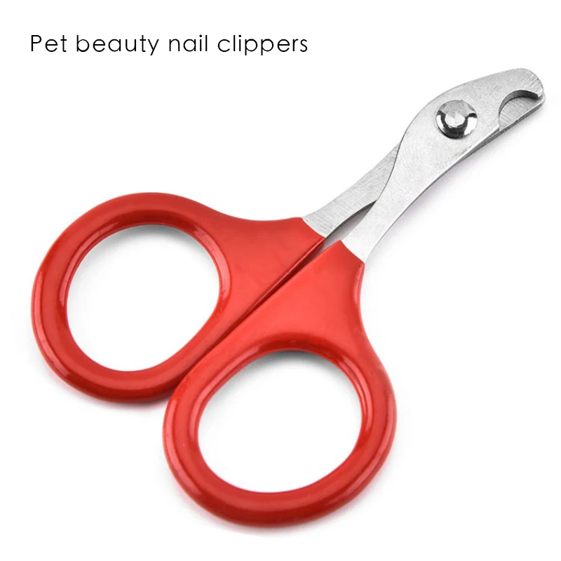 Pet Dog Nail Clippers, Cat Nail Clippers, Nail Cutter, Pet Cleaning and Beauty Tools, Home Use Accessories
Pet Dog Nail Clippers, Cat Nail Clippers, Nail Cutter, Pet Cleaning and Beauty Tools, Home Use Accessories