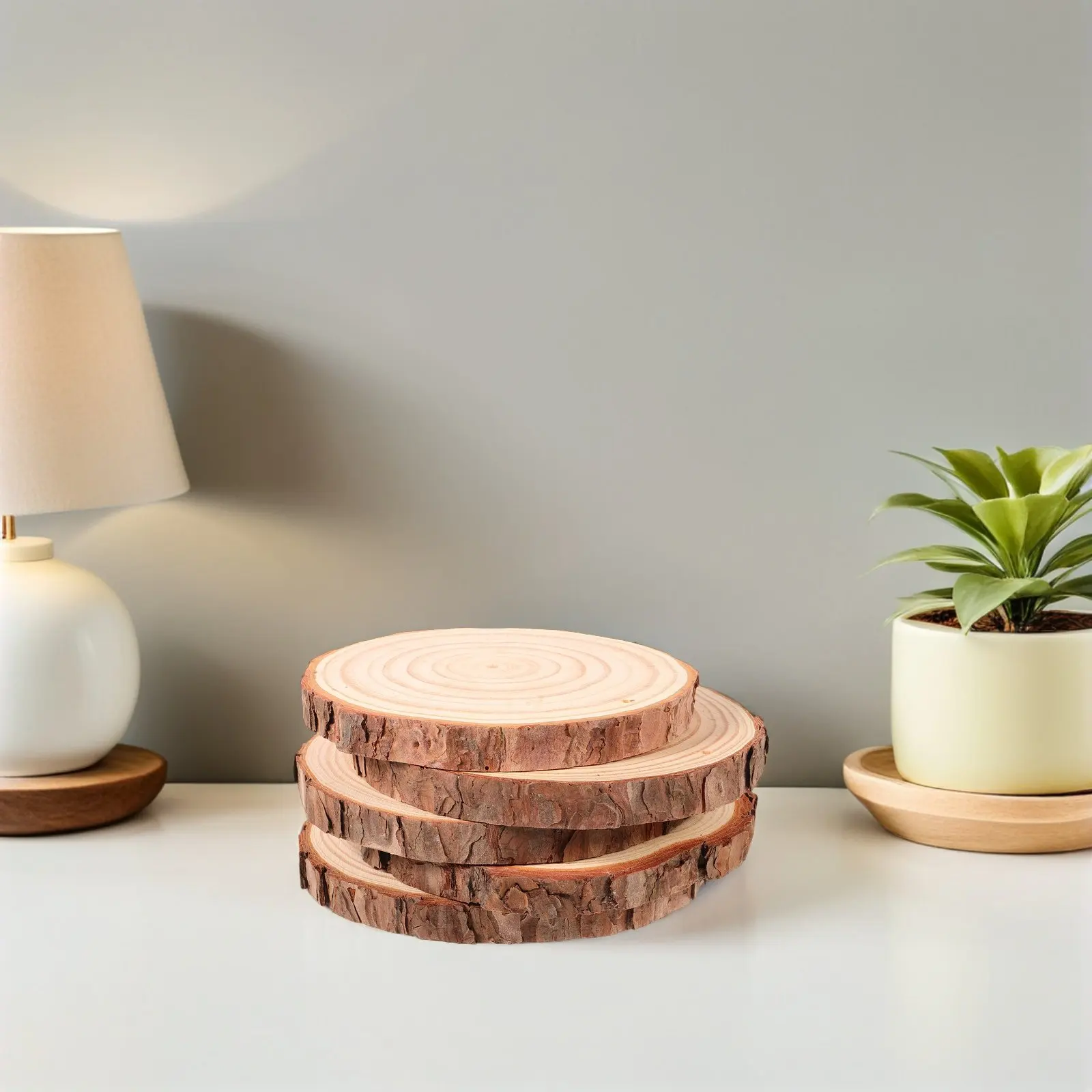 5Pcs Raw Wood Slices Natural Bark Finish 14-15Cm Round Wooden Discs for DIY Crafts Painting Staining Engraving Rustic Home Decor
5Pcs Raw Wood Slices Natural Bark Finish 14-15Cm Round Wooden Discs for DIY Crafts Painting Staining Engraving Rustic Home Decor