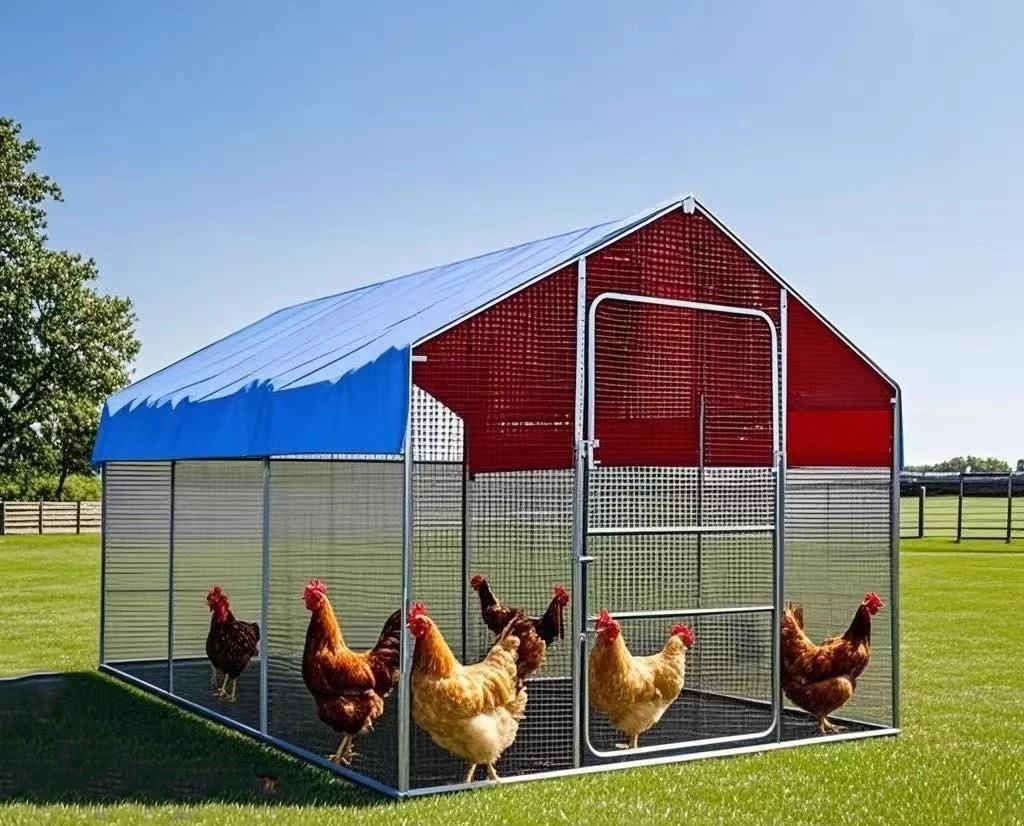 Наружное крупномасштабное курятник для птицы, куриное гнездо, павлин, непромокаемый куриный дом, строительство, домашнее разведение
Наружное крупномасштабное курятник для птицы, куриное гнездо, павлин, непромокаемый куриный дом, строительство, домашнее разведение