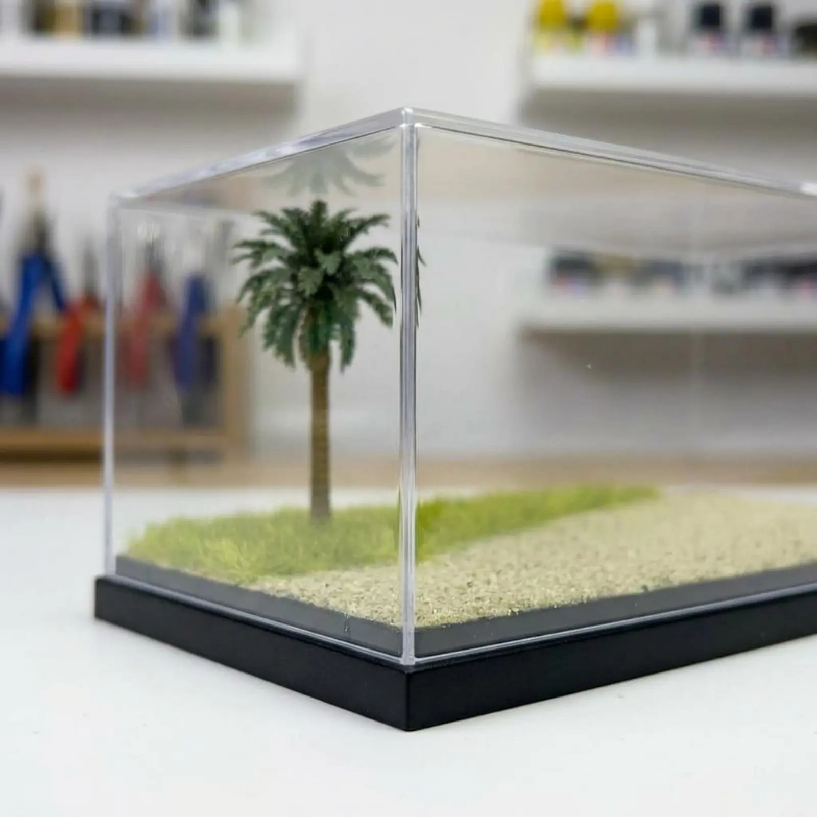 Beach Display Case Box Dustproof 1:64 Car Display Box for Shelf
Beach Display Case Box Dustproof 1:64 Car Display Box for Shelf