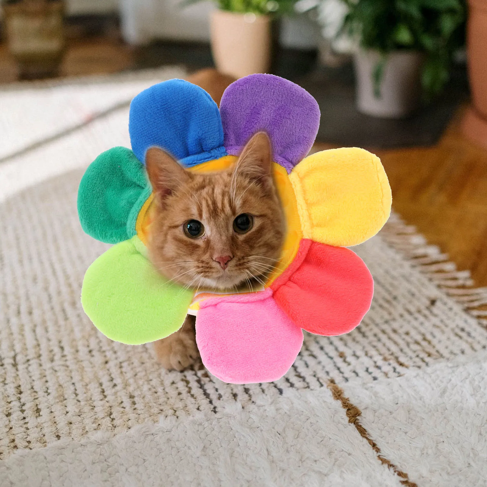 Pet Sunflower Hat for Cat Dog Party Hats Birthday Costume Accessories Adorable Decorative Halloween Cosplay Pet Supplies
Pet Sunflower Hat for Cat Dog Party Hats Birthday Costume Accessories Adorable Decorative Halloween Cosplay Pet Supplies