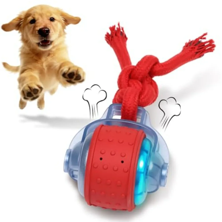 Interactive Dog Toys, Automatic Moving Dog Toy with Rope, Motion Activated, Rechargeable Dog Ball to Keep Them Busy
Interactive Dog Toys, Automatic Moving Dog Toy with Rope, Motion Activated, Rechargeable Dog Ball to Keep Them Busy