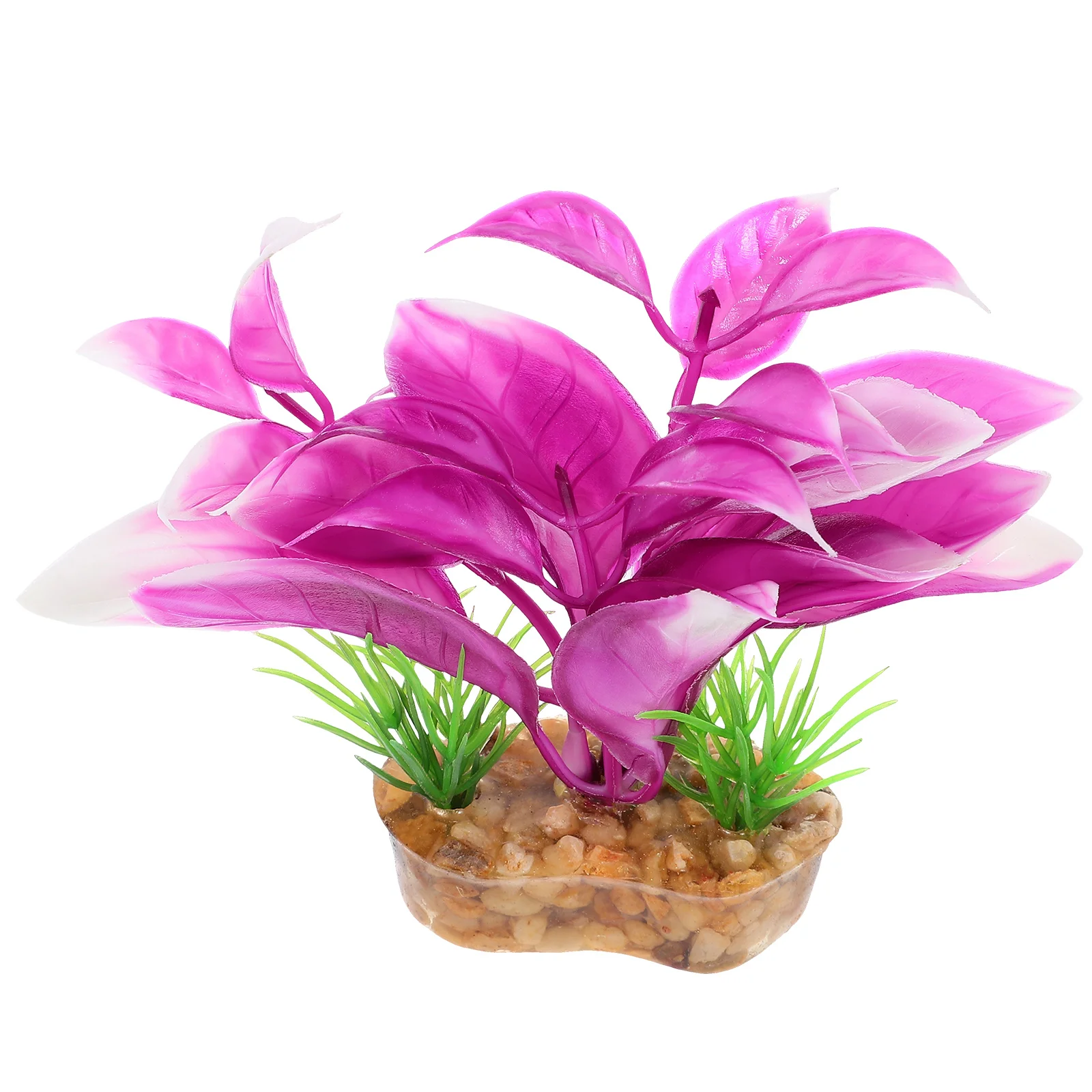 Aquarium Decoration Realistic Plastic Fish Tank Plants Artificial Accessories Small Tanks Decorations Aquatic Plants Pet
Aquarium Decoration Realistic Plastic Fish Tank Plants Artificial Accessories Small Tanks Decorations Aquatic Plants Pet