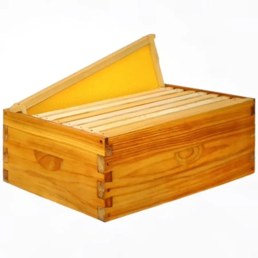 Beekeeping starter kit: medium Langstroth super box pine wood natural color dipped in 100 beeswax for enhanced durability and h
Beekeeping starter kit: medium Langstroth super box pine wood natural color dipped in 100 beeswax for enhanced durability and h
