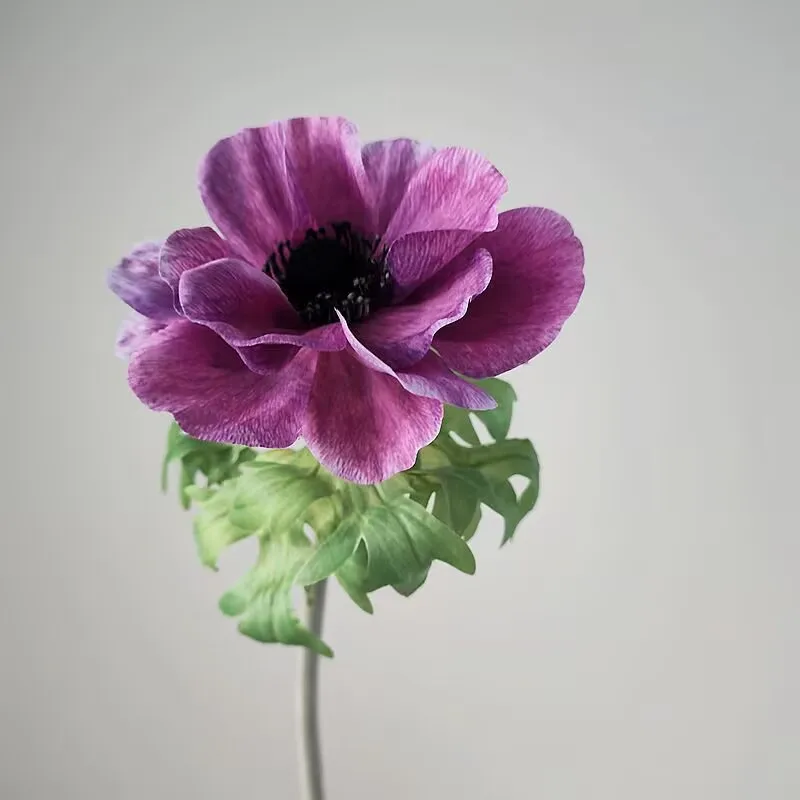 Simulated flower 3D rendering color anemone, high quality flower material, home decoration shooting props, wedding scene layout
Simulated flower 3D rendering color anemone, high quality flower material, home decoration shooting props, wedding scene layout