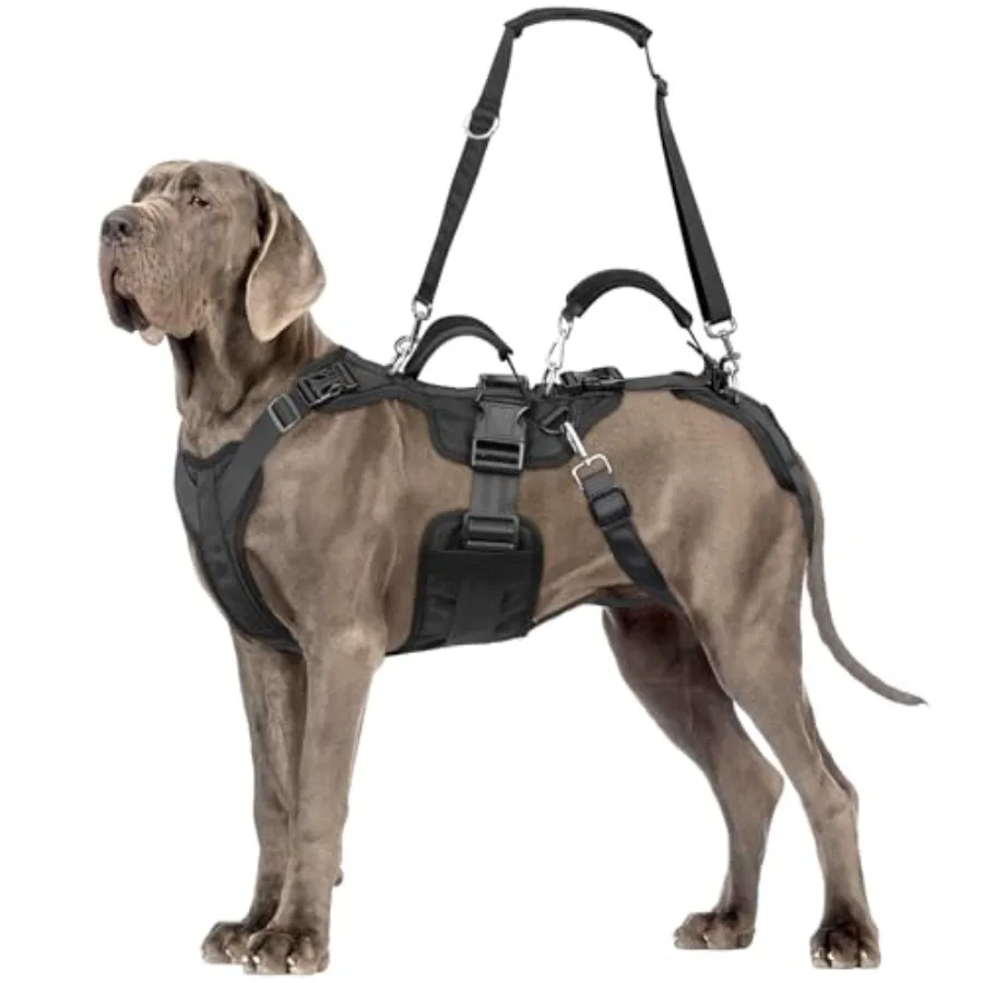 Dog Lift Harness, Dog Support and Recovery Sling for Full-Body and Hind/Front Leg Pee-Able Design for Large/Medium Dogs All-in-
Dog Lift Harness, Dog Support and Recovery Sling for Full-Body and Hind/Front Leg Pee-Able Design for Large/Medium Dogs All-in-