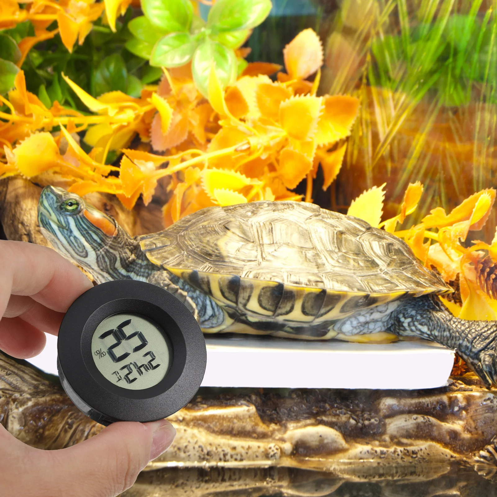 Mini Digital LCD Indoor Temperature Humidity Meter Black 45Cm Plastic Indoor Thermometer Hygrometer Accurate Clear Display
Mini Digital LCD Indoor Temperature Humidity Meter Black 45Cm Plastic Indoor Thermometer Hygrometer Accurate Clear Display