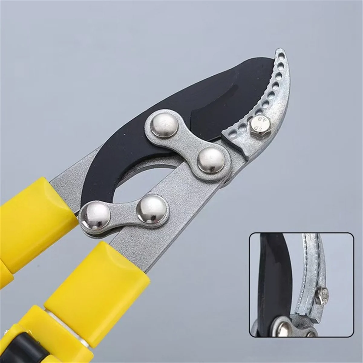 AA25 Gardening Fruit Tree Pruning Shears Long Pruner Branch Stretchable Garden Steel Garden Scissors
AA25 Gardening Fruit Tree Pruning Shears Long Pruner Branch Stretchable Garden Steel Garden Scissors