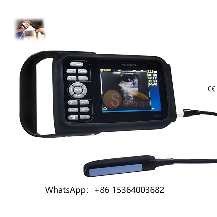 Small Size Handheld Veterinary Ultrasound Scanner Veterinary Portable Ultrasound Machine for Animals
Small Size Handheld Veterinary Ultrasound Scanner Veterinary Portable Ultrasound Machine for Animals