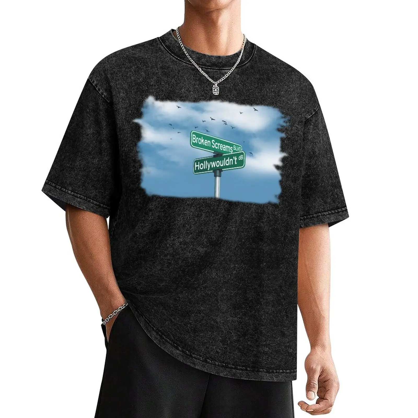 Drake Bell - Hollywouldn't T-Shirt Funny t-shirt street wear mens shirts graphic tee
Drake Bell - Hollywouldn't T-Shirt Funny t-shirt street wear mens shirts graphic tee