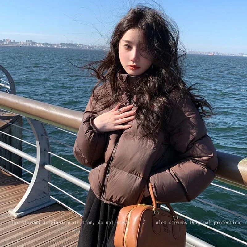 Women Autumn Winter Short Parkas Jackets 2024 New Casual Stand collar Zipper Outwear Coats Female Jackets Puffer Parkas Coats
Women Autumn Winter Short Parkas Jackets 2024 New Casual Stand collar Zipper Outwear Coats Female Jackets Puffer Parkas Coats