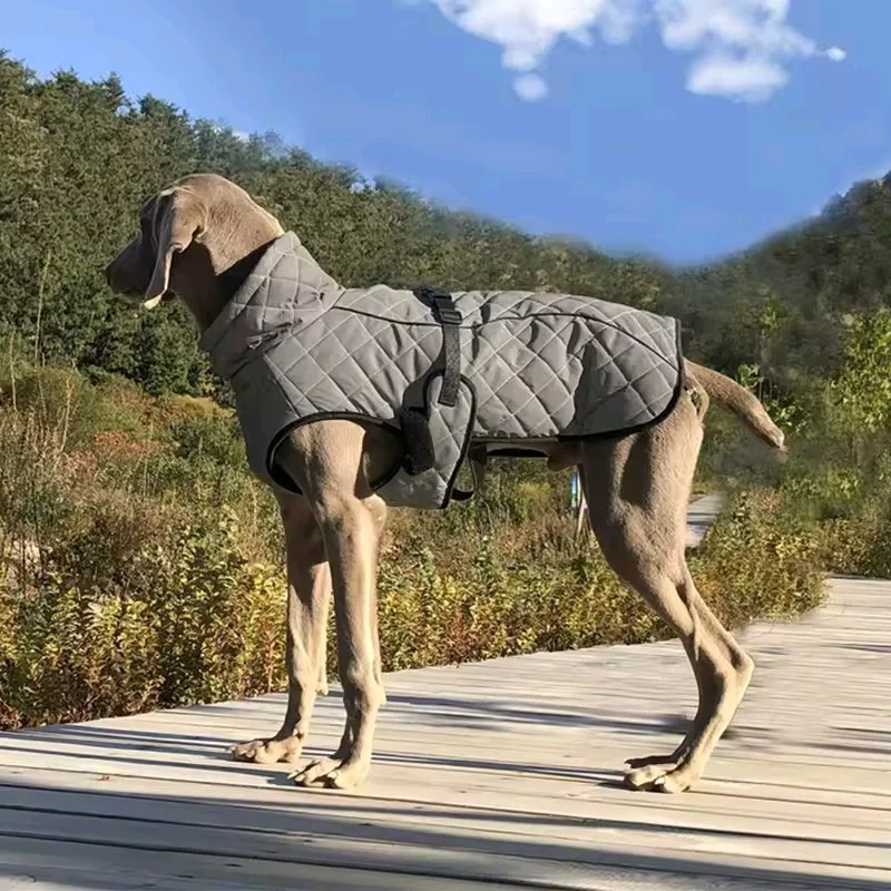 Утолщенная осенне-зимняя одежда для собак, ветрозащитный светоотражающий водоотталкивающий свитер для охотничьих собак, теплое пальто для маленьких собак
Утолщенная осенне-зимняя одежда для собак, ветрозащитный светоотражающий водоотталкивающий свитер для охотничьих собак, теплое пальто для маленьких собак